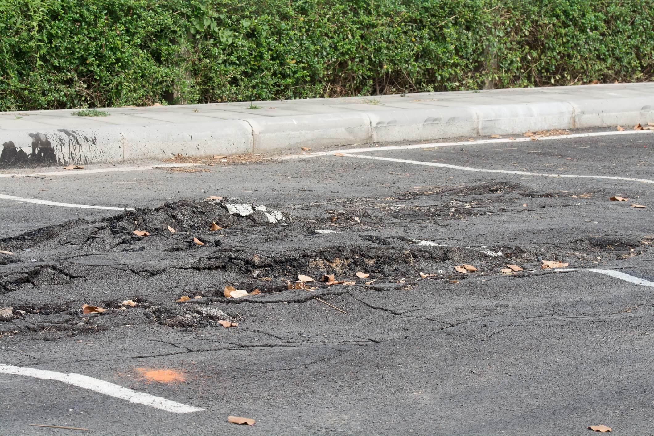 Potholes in a Publix parking lot